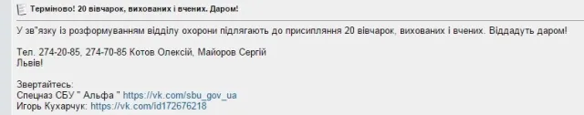 Львів’яни можуть стати жертвами шахрайства із порятунком 20 вівчарок — фото 1