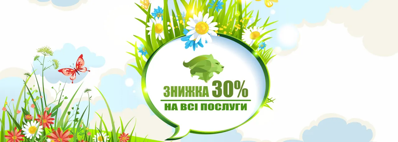 Leona - розвиток інтернет проектів