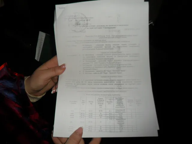 Кілька десятків представників «Правого сектору» та обурених львів'ян увірвалося до Львівської міської ради (Фоторепортаж) + (Відео) — фото 5