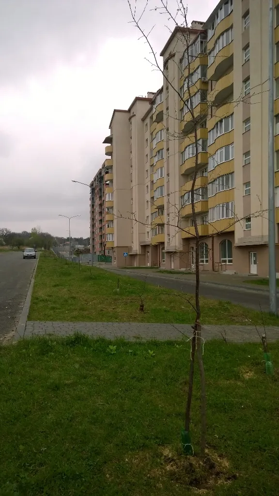 Мешканці «Пасічного» допомогли в озелененні свого масиву — фото 1