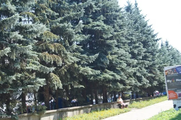 Пікетування Новояворіської міськради завершилося на користь громади — фото 1