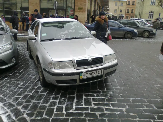 «Авторагулі» у Львові: чи бачить ДАІ скарги у Фейсбуці? (Фото) — фото 7