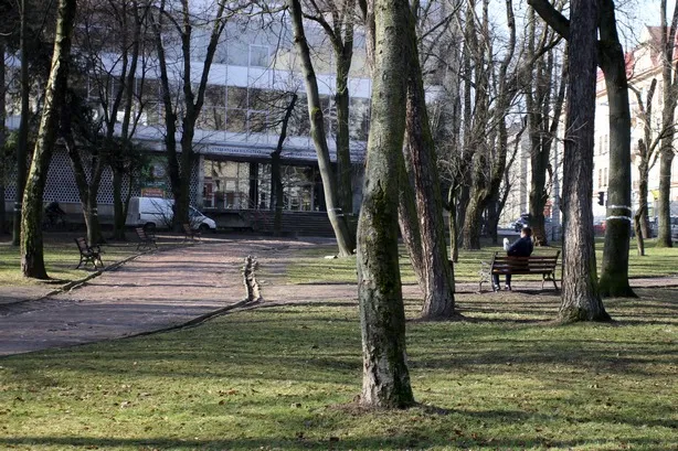 У Львові активісти організовують цілодобове чергування у сквері біля собору св. Юра (фото) + (відео) — фото 4