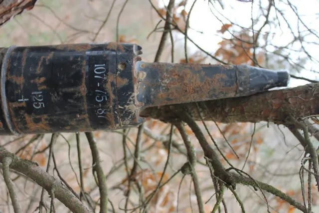 У лісі знайшли п'ять артснарядів, один із яких висів на дереві (фото) — фото 5