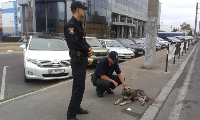 Такого у Львові ще не було.. Поліціанти допомагають навіть чотирилапим (фото) — фото 1