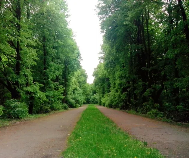 Щоб зробити Україну чистою, у Львові приберуть «Залізні води» і Снопківський парк — фото 1