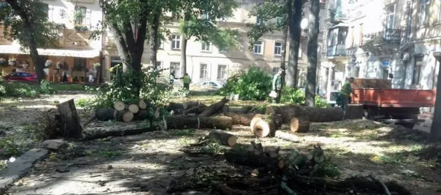 У серпні і діти, і дорослі Львова будуть пити з одного фонтану — фото 3
