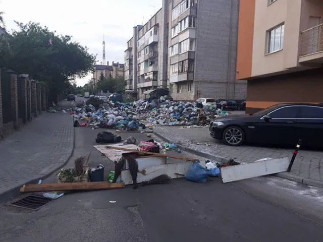 Рятувати місто від щурів зобов’язали… перевізників — фото 2