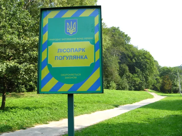 Санний спорт на Погулянці стартує з початком літа — фото 2