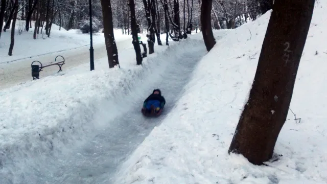 Санний спорт на Погулянці стартує з початком літа — фото 5